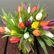 Naked Tulips - Eco range