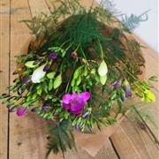 Naked Freesias - Eco range