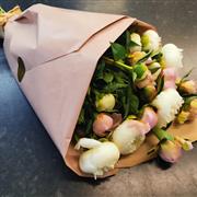 Naked Paeonies - Eco range
