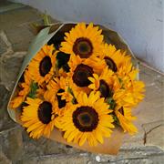 Naked Sunflowers - Eco range