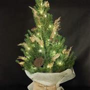 Christmas tree - decorated