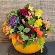 Autumnal Pumpkin Arrangement
