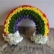 Rainbow Tribute