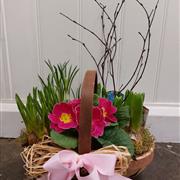 Spring Flowering Planted Arrangement