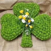 Shamrock