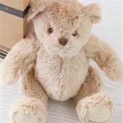 Cuddly Bear